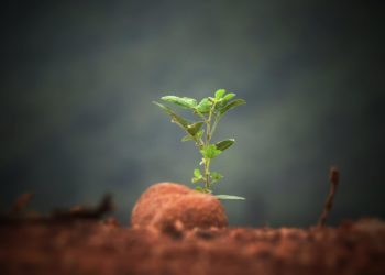 Interview: Serving in Addiction Recovery Ministry