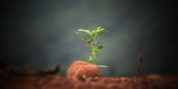 Interview: Serving in Addiction Recovery Ministry