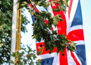 UK COVID-19 Data Reveals Extremely Low Death Rate