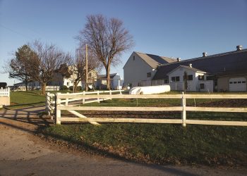 Amish Farmer Fights Firearms Dealing Charge