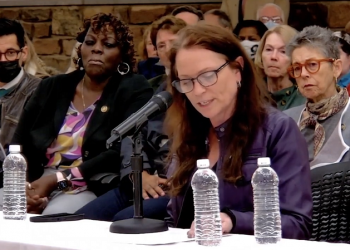 Andi Perez, a lobbyist for the SEIU, speaks during a Jan. 27 Speaker’s Workgroup to Move Pennsylvania Forward listening tour session.