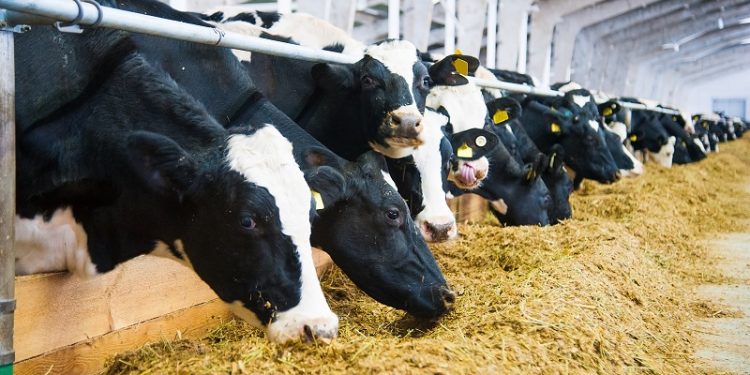 Mastriano, Argall to Propose Legislation Creating Government ‘Dairy Zones’