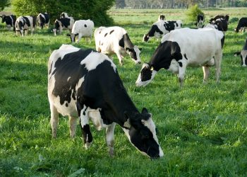 GOP Legislator Calls For More Government Intervention, Increased Fines for Pennsylvania Milk Producers