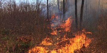 Wildfire Risk for Region on Monday
