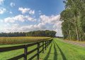 Rural field in Lancaster County.
