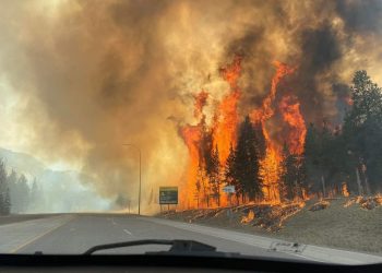 Canadian Gender ‘Equity’ Fire Training Program Leads to Out-of-Control Blaze