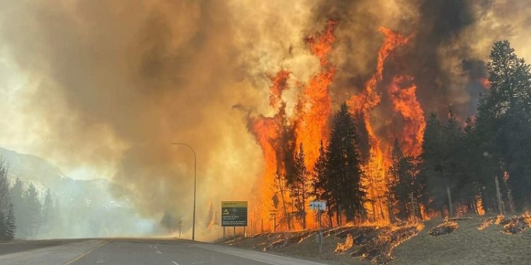 Canadian Gender ‘Equity’ Fire Training Program Leads to Out-of-Control Blaze