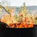 Stock image of burning barrel in the middle of a garden.