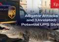 Podcast – Alligator Attacks and Potential UPS Strike
