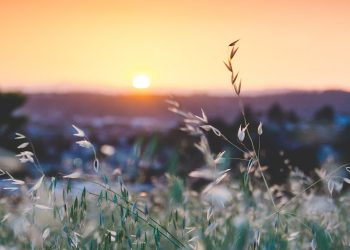 A Baptist Critique of a Baptist’s Critique of Postmillennialism and Theonomy