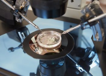 California Bill Aims To Expand Infertility ‘Treatments’ to Homosexuals