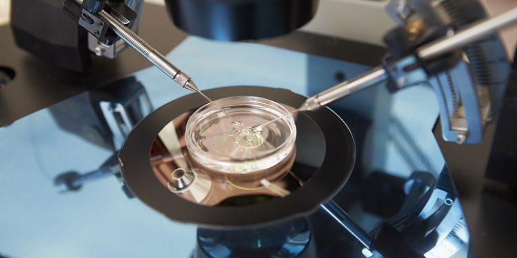 California Bill Aims To Expand Infertility ‘Treatments’ to Homosexuals