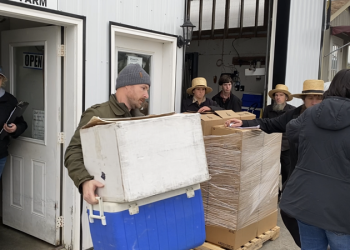 State Employees Search Amos Miller Farm, Seize Property