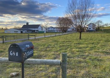 Pennsylvania Department of Agriculture Sues Amish Farmer Amos Miller