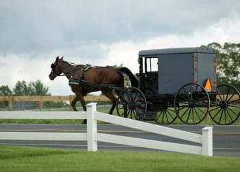 Why the Amish (and the English) Should Stand with Amos Miller