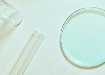 White House Reviews IVF Policy Amid Ethical Concerns